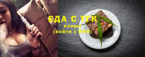 твердый Долгопрудный