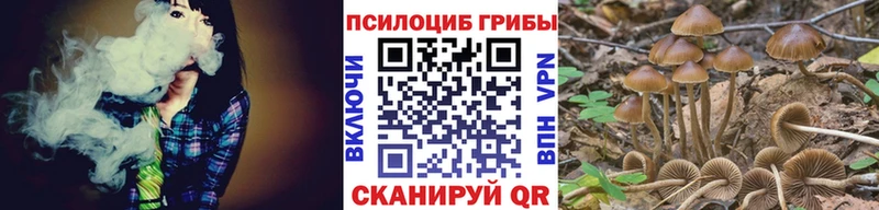 Псилоцибиновые грибы Cubensis  hydra вход  Сим 